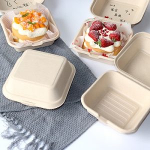 Bento Cake Box