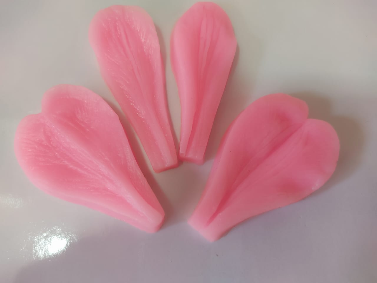 Long Leaves Silicon Mold 4pcs