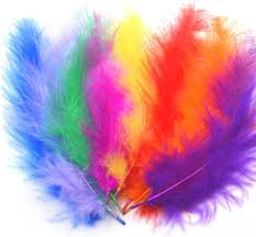 Bird Feather Set 6pcs