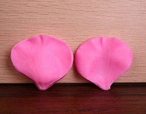 Rose Petal Veiner M